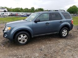 Salvage cars for sale at Hillsborough, NJ auction: 2011 Ford Escape XLT