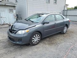 Salvage cars for sale from Copart York Haven, PA: 2012 Toyota Corolla Base