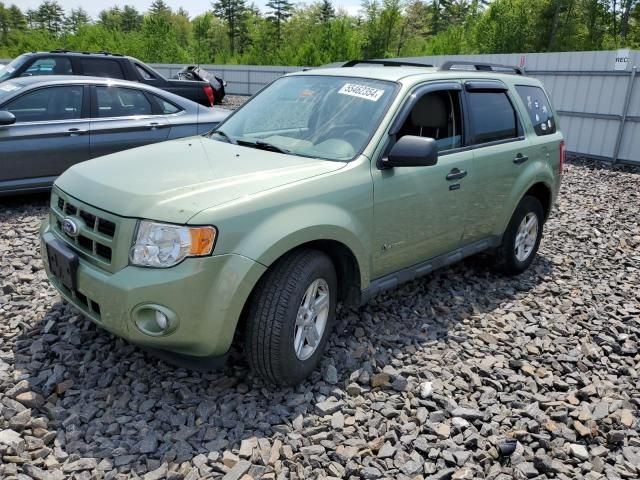 2010 Ford Escape Hybrid