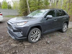 Salvage cars for sale at Bowmanville, ON auction: 2019 Toyota Rav4 Limited