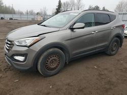 Salvage cars for sale from Copart Bowmanville, ON: 2014 Hyundai Santa FE Sport