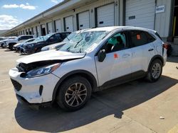 Salvage cars for sale at Louisville, KY auction: 2022 Ford Escape SE