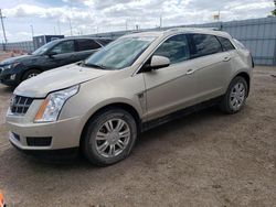 Salvage cars for sale at Greenwood, NE auction: 2012 Cadillac SRX Luxury Collection