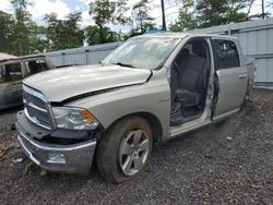 Dodge ram 1500 Vehiculos salvage en venta: 2009 Dodge RAM 1500