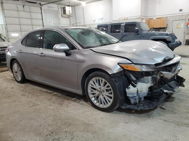 2019 Toyota Camry Hybrid