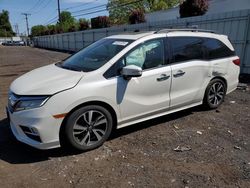Honda Odyssey salvage cars for sale: 2019 Honda Odyssey Elite