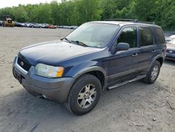 Ford Escape xlt Vehiculos salvage en venta: 2004 Ford Escape XLT