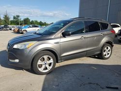 Salvage cars for sale at Lawrenceburg, KY auction: 2014 Ford Escape SE