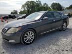 2007 Lexus LS 460