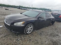 Salvage cars for sale at Memphis, TN auction: 2014 Nissan Maxima S