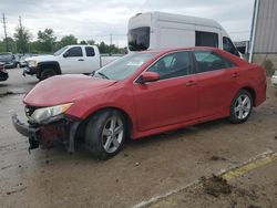 Salvage cars for sale at Lawrenceburg, KY auction: 2013 Toyota Camry L