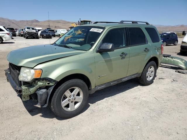 2010 Ford Escape Hybrid