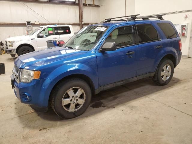 2011 Ford Escape XLT