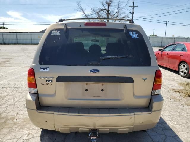 2007 Ford Escape XLT