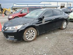 Salvage cars for sale at Earlington, KY auction: 2013 Honda Accord EXL