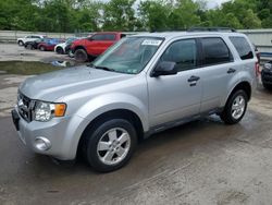 Salvage cars for sale at Ellwood City, PA auction: 2010 Ford Escape XLT