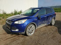Salvage cars for sale at Portland, MI auction: 2014 Ford Escape SE