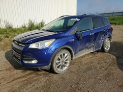 Ford Escape se Vehiculos salvage en venta: 2014 Ford Escape SE