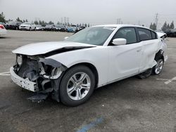Salvage cars for sale from Copart Rancho Cucamonga, CA: 2015 Dodge Charger SE