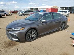 Salvage cars for sale from Copart Brighton, CO: 2023 Toyota Camry SE Night Shade