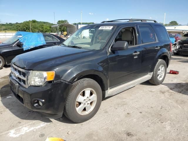 2010 Ford Escape XLT