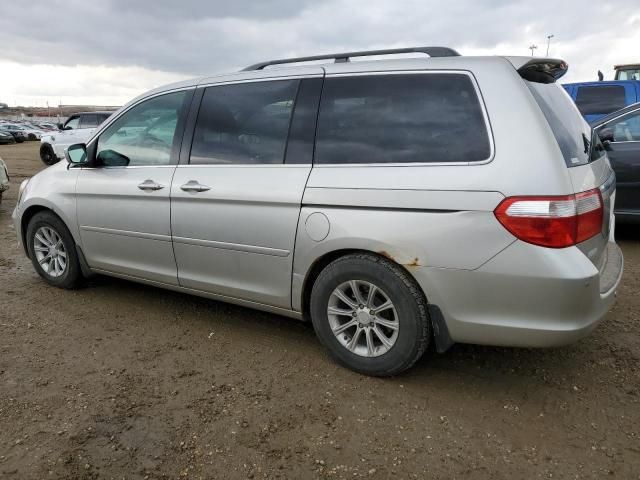 2005 Honda Odyssey Touring