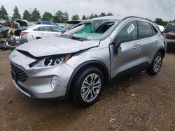 Salvage cars for sale from Copart Elgin, IL: 2022 Ford Escape SEL