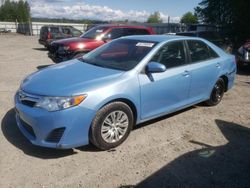 Salvage cars for sale from Copart Arlington, WA: 2013 Toyota Camry L