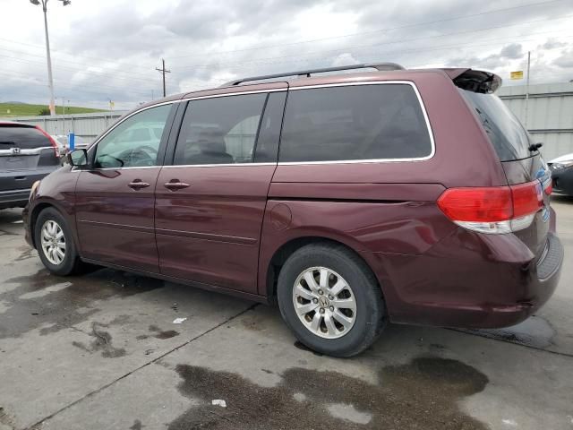 2008 Honda Odyssey EXL