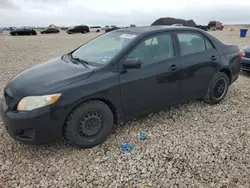 Salvage cars for sale from Copart New Braunfels, TX: 2009 Toyota Corolla Base