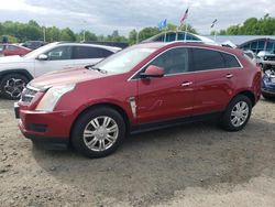 Cadillac salvage cars for sale: 2012 Cadillac SRX Luxury Collection