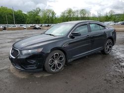 Salvage cars for sale at Marlboro, NY auction: 2016 Ford Taurus SHO