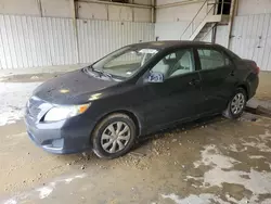 Salvage cars for sale from Copart Gainesville, GA: 2010 Toyota Corolla Base
