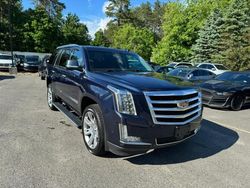Clean Title Cars for sale at auction: 2017 Cadillac Escalade Premium Luxury