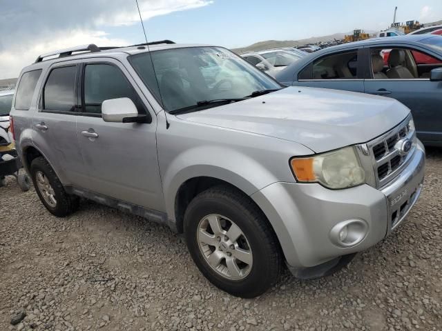 2011 Ford Escape Limited