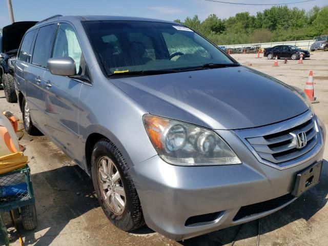 2008 Honda Odyssey EXL