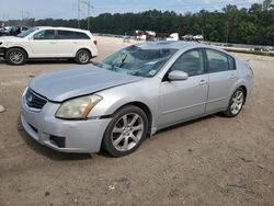 Nissan Maxima SE Vehiculos salvage en venta: 2008 Nissan Maxima SE