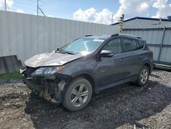 Toyota Rav4 XLE salvage cars for sale: 2015 Toyota Rav4 XLE