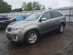 Salvage cars for sale at Finksburg, MD auction: 2015 KIA Sorento LX