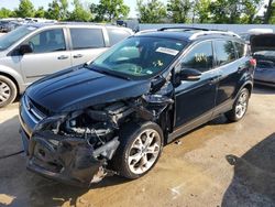 Salvage cars for sale at Bridgeton, MO auction: 2016 Ford Escape Titanium