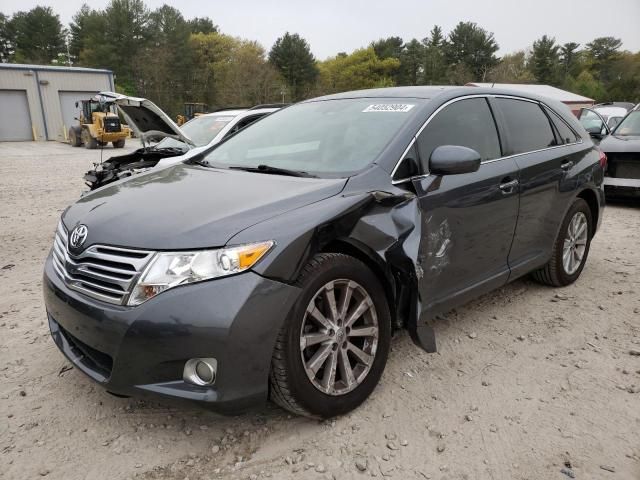 2010 Toyota Venza