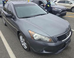 Salvage cars for sale at Rancho Cucamonga, CA auction: 2010 Honda Accord EXL