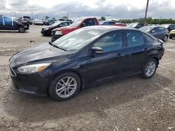Salvage cars for sale at Indianapolis, IN auction: 2016 Ford Focus SE