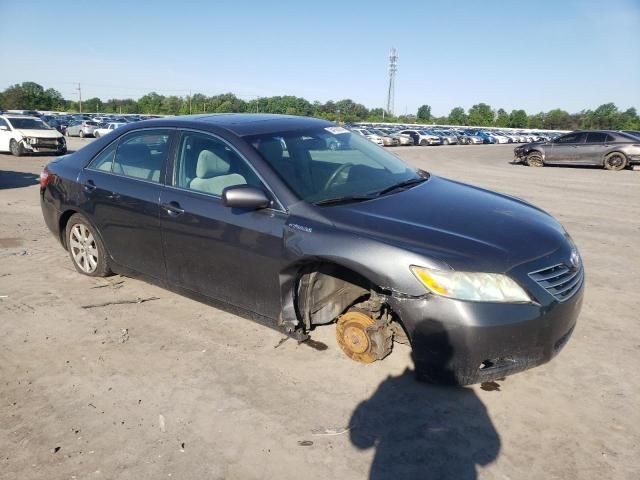 2008 Toyota Camry Hybrid