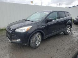 Salvage cars for sale at Albany, NY auction: 2014 Ford Escape SE