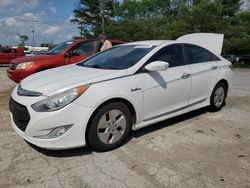 Salvage cars for sale at Lexington, KY auction: 2011 Hyundai Sonata Hybrid
