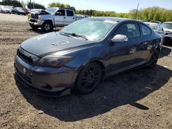Salvage cars for sale at East Granby, CT auction: 2008 Scion TC