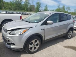 Salvage cars for sale at Leroy, NY auction: 2016 Ford Escape SE