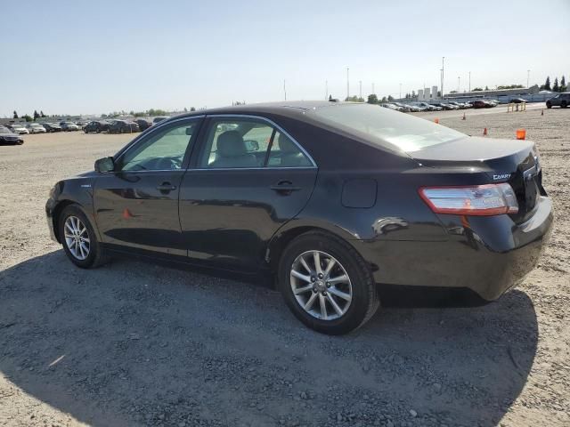 2011 Toyota Camry Hybrid