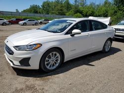 Salvage cars for sale at Davison, MI auction: 2019 Ford Fusion SE